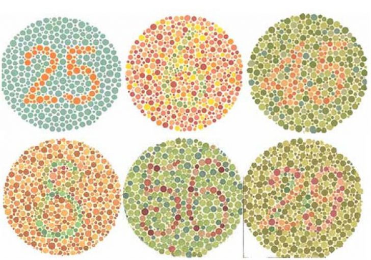 Existem 6 círculos na imagem conteúdo números ao centro de cada círculo. Devido ao daltonismo algum deles não são exibidos. Isso exemplifica o uso correto de contraste
